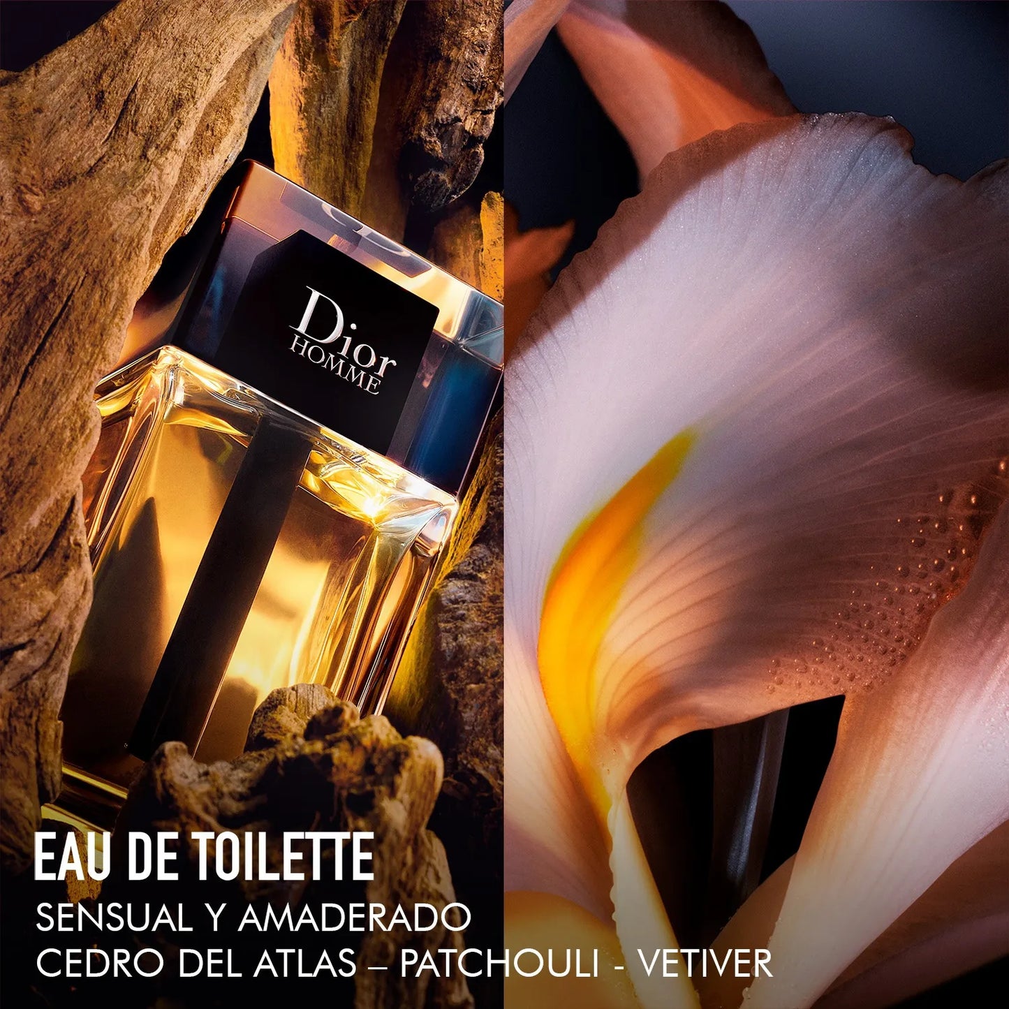DIOR HOMME ™- PARFUM